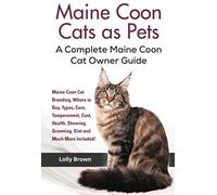Maine Coon Cats As Pets