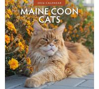 Maine Coon Cats - Calendrier mural carré 2026 - par Red Robin Publishing