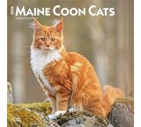 Maine Coon Cats - Maine Coon Katzen 2026 - 16-Monatskalender: Original BrownTrout-Kalender [Mehrsprachig] [Kalender]