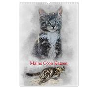 Maine Coon Katzen (Wandkalender 2026 DIN A3 hoch), CALVENDO Monatskalender: Eine der größten Katzen der Welt: Maine-Coon