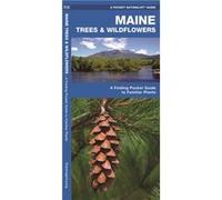 Maine Trees amp Wildflowers A Folding Pocket Guide to Familiar Species by Illustrated by Dr Raymond Leung James Kavanagh James Kavanagh (Auteur)