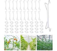 MAIREULB Lot de 10 crochets à tomates en acier inoxydable + 50 clips pour plantes + corde de 10 m | Double crochet robuste pour plants de tomates, concombres, vin | Suspension de jardin