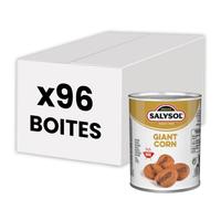 Maïs Géant salé goût Barbecue Salysol - 96 Boites de 30 gr