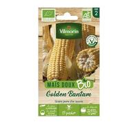 Vilmorin Mais Golden Bantam bio