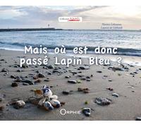 Mais où est donc passé Lapin Bleu ? - Florence Lebouteux - Orphie G.doyen Editions - relié - Album jeunesse dès 3 ans