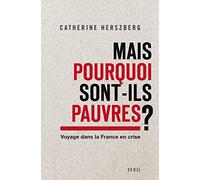 Mais pourquoi sont-ils pauvres?: Voyage dans la France en crise