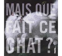 Mais que fait ce chat ?