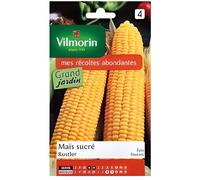 Vilmorin - Sachet graines Maïs sucré Rustler