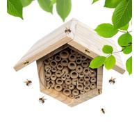 Maison à Abeilles Nichoir Ruche en Bois