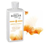 Maison Berger Aroma Energy Ecorces d'agrumes dynamisantes 500 ml
