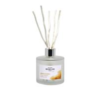 Maison Berger Bouquet parfumé Aroma Energy