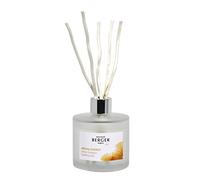 Maison Berger Bouquet parfumé Aroma Energy