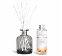 MAISON BERGER Bouquet parfumé Aroma Energy
