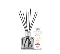 MAISON BERGER Bouquet Parfumé Baies de Goji Glaçon Transparent, 100 ml