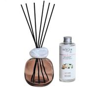 Maison Berger Bouquet Parfumé Minéral - Diffuseur et Recharge 180 ML avec 6 Brins - Senteur Longue Durée 6 Semaines - Design Moderne - Prêt à l’Emploi Idéal Cadeau Intérieur (Prune Lady Flower)