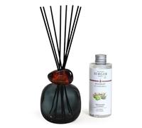 Maison Berger Bouquet Parfumé Minéral - Diffuseur et Recharge 180 ML avec 6 Brins - Senteur Longue Durée 6 Semaines - Design Moderne - Prêt à l’Emploi Idéal Cadeau Intérieur (Noir Terre Sauvage)