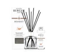 MAISON BERGER - Bouquet Parfumé - Diffuseur Parfum Maison - Pétillance Exquise - Modèle Glaçon Transparent - 6 Bâtonnets Noirs - 21 cm - Recharge 100 ml - Diffusion 4 à 6 Semaines - Fabriqué en France
