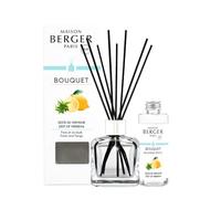 MAISON BERGER - Bouquet Parfumé - Modele Glaçon Transparent - 6 Brins Noirs - 21 cm - Recharge de 100 millilitres Incluse - Durée de Diffusion 4 à 6 semaines (Zeste de Verveine)