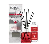 MAISON BERGER - Bouquet Parfumé - Modele Glaçon Transparent - 6 Brins Noirs - 21 cm - Recharge de 100 millilitres Incluse - Durée de Diffusion 4 à 6 semaines (Ma Cuisine sans Mauvaises Odeurs)