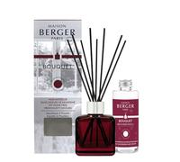 MAISON BERGER Bouquet Parfumé Mon Intérieur Sans Odeurs de Renfermé, 100 ml