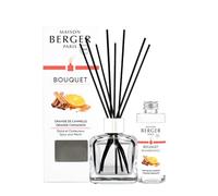 MAISON BERGER Bouquet Parfumé Orange de Cannelle Glaçon Transparent, 100 ml | Coffret complet : flacon en verre transparent, 6 bâtonnets et recharge Orange de Cannelle 100 ml