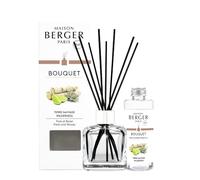 MAISON BERGER Bouquet Parfumé Terre Sauvage Glaçon Transparent, 100 ml | Coffret complet : flacon en verre transparent, 6 bâtonnets et recharge Terre Sauvage 100 ml