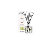 Maison Berger Paris - Bouquet Parfumé Cube - Parfum Pétillance Exquise