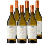 Maison Castel Grande Réserve Vin Blanc Viognier IGP Pays d'Oc - Lot de 6 bouteilles x 75 cl