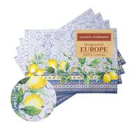 Maison d' Hermine Lot de 4 sets de table 100 % coton lavables, réutilisables, pour décoration de cuisine, salle à manger, fête, mariage, restaurant, printemps/été (citron, 33 x 48,3 cm)