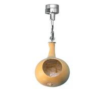 Maison d'araignée sauteuse, grotte pour araignées sauteuses | Accessoires pour araignées sauteuses avec magnétisme, maison naturelle | Enclos pour araignées sauteuses en citrouilles naturelles