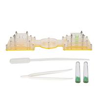 Maison de fourmilière en Acrylique avec Tour d’Eau hydratante, Villa-château à Double Chambre pour l’Observation et l’Alimentation des Fourmis, incluant Une Pince et des tuyaux