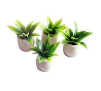 Maison de poupée miniature verte en pot échelle 1:12 Sago Cycas 4 pièces