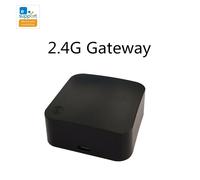 maison intelligente RM BASIC 2.4G G Gateway, 2.4G, télécommande pour interrupteur à rideau 2.4G, commande vocale, fonctionne avec Alexa Google Home