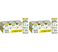 MAISON PERRIER CHIC Boisson Gazeuse Sans Alcool Citrus Fizz - 6 packs de 4x25cl (Lot de 2)