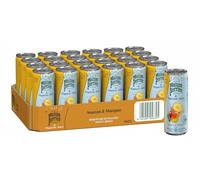 MAISON PERRIER Magnetic Ananas et Mangue boite slim pack 24x33cl