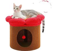 Maison pour chat, refuge spacieux, fonctions interactives, AMT0294BN