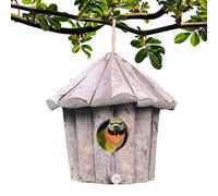 Maison pour colibri - avec toit en bois, petite maison pour colibris pour l'extérieur | pour moineau, pinson, perruche, arbre, extérieur, cour, hiver, femmes amatrices