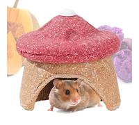 Maison pour Hamster à Mâcher en Forme de Champignon pour la Dentition des