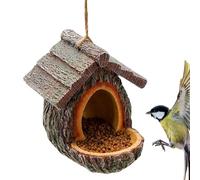 Maison pour oiseaux, maison pour oiseaux en résine pour observer les écureuils et les colibris depuis la fenêtre l'extérieur