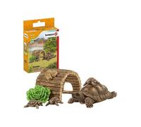 - Maison pour tortues - 42506