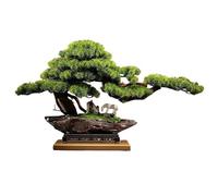 Maison Simulation de bonsaï for la Maison, Salon, entrée, Bureau, Ornements décoratifs en pin, aménagement paysager Décoration