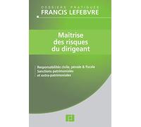 Maîtrise des risques du dirigeant: Responsabilité civile, pénale et fiscale ; Sanctions patrimoniales et extra-patrimoniales