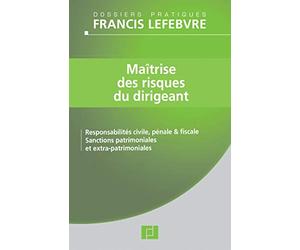 Maîtrise des risques du dirigeant: Responsabilité civile, pénale et fiscale ; Sanctions patrimoniales et extra-patrimoniales