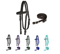 Majestic Ally Frontal rembourré en Nylon avec rênes pour Chevaux (Chocolat, Complet)