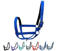 Majestic Ally Licol réglable en nylon avec couronne et nez rembourrés Bleu roi Taille L