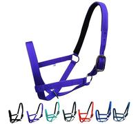 Majestic Ally Licol réglable en nylon avec couronne et nez rembourrés (Violet, taille L)