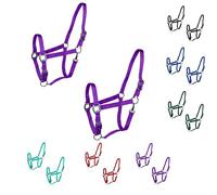 Majestic Ally Lot de 2 licol réglables pour chevaux - Menton et couronne réglables - Mousqueton cousu - Matériel robuste finition or rose ou nickel noir - complet (violet, plein)