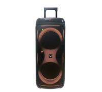 Majestic FLAMET88BK Diffuseur Trolley Party Speaker Bluetooth USB Lumières
