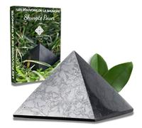 Majestic's Pyramide de Shungite Naturelle POLIE 10 cm + Ebook Numérique (PDF) - Pierre Puissante de Protection des Ondes, Pierre Energétique Authentique Anti Onde (10 CM)