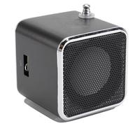 MAJORMENCH Mini Enceinte Portable Numérique Radio FM Intégrée, Batterie Lithium Rechargeable 600mah, Alliage D'aluminium, Antenne Télescopique, pour Voyage et Extérieur